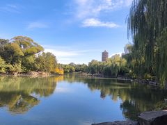 -北京大学