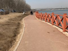 -丁香湖公园
