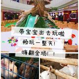 杭州遛娃好去处！化身牧羊人和小菜农吧！