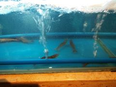 -芭菲盛宴·环球美食(北城国际店)