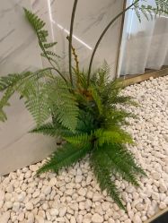 -铂诗玥医美