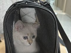 -嘉美宠物医院