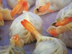 -小叶大馅饺子城