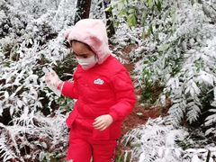 -铁山坪森林公园