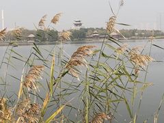 -水西公园