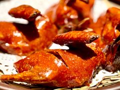 -炆艺乳鸽·煲仔饭大排档(望京来广营店)