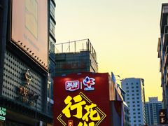 -越秀西湖花市(广州城市广场花卉店)