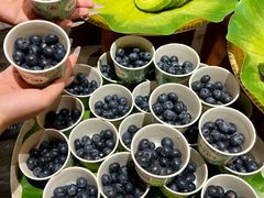 -丰卓会海鲜自助(中润大道店)