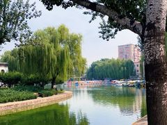 -团结湖公园