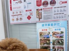 -心仪动物医院·牙专科·肿瘤·心脏科(西客站院)