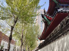 -西塔