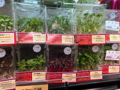 -阪急百货店(梅田总店)