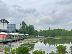 -白鹭湾湿地公园