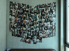 -百好乐宠物友好餐厅(朝外大街店)