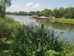 -东郊湿地公园