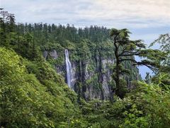 -瓦屋山景区
