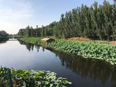 -白洋淀景区