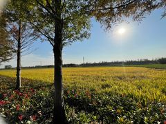 -嘉北郊野公园