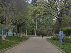 -云岗森林公园