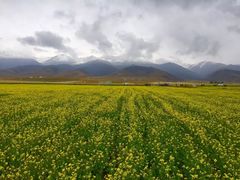 -青海湖国家重点风景名胜区