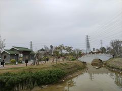 -王借岗森林公园