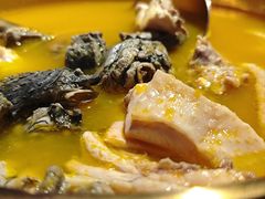 -Darling Queen·Mini·Live·House