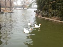-洛阳市隋唐城遗址植物园