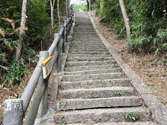 -玉苍山国家森林公园