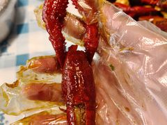 -虾皇(龙虾城旗舰店)