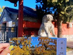 -北京石刻艺术博物馆(五塔寺)
