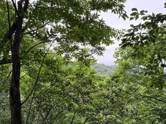 -凤栖山