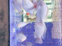 -徐记海鲜(观沙岭|滨江新城店)