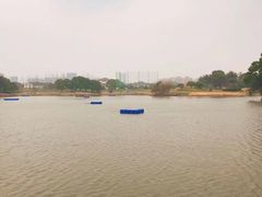 -银涛高尔夫练习场(徐泾店)