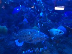 -成都浩海立方海洋公园