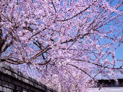 -三里河公园