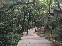 -石老人观光园