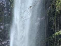 -莫里热带雨林景区