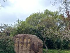 -中国茶叶博物馆(双峰馆区)