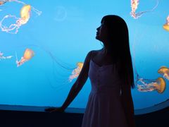 -太平洋海底世界