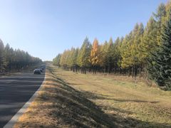 -塞罕坝国家级自然保护区