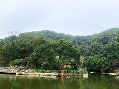 -广州市帽峰山景区
