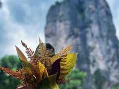 -雁荡山大龙湫景区