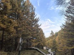 -苏木山森林公园