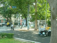 -三里屯东五街银杏大道
