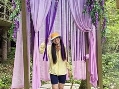 -石台牯牛降景区