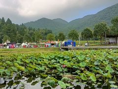 -仙水洋