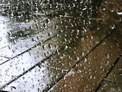 -上海和平饭店华懋阁 Cathay Room