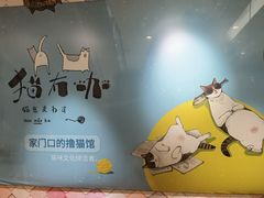 -猫冇咖·家门口的撸猫馆(大融城店)