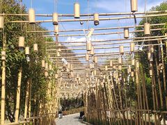 -高荡千年布依古寨旅游景区