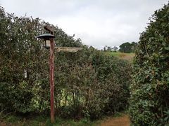 景点-霍比特人村